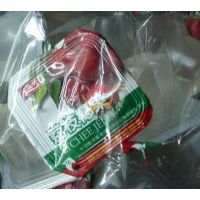 ʢ����Ҭ����������֦ζ��/500��