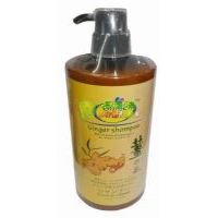 �������l(f��)�̝�(r��n)ϴ�l(f��)ˮ1000ml